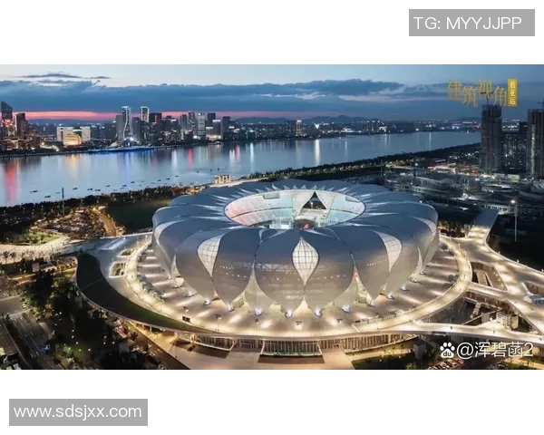 杭州足球队的盯防革新探索与实践全景分析